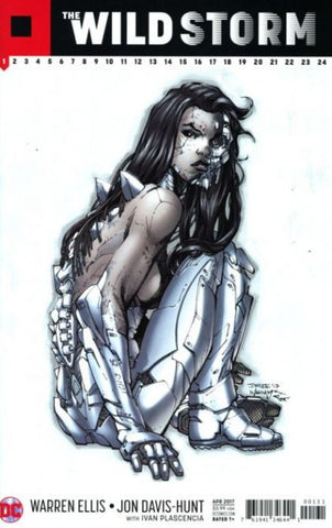 Wild Storm #1