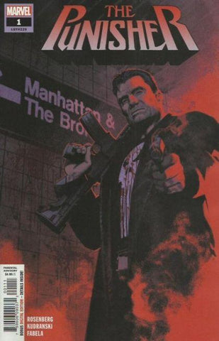 Punisher #1