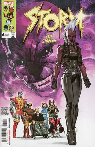STORM #4 Alan Davis Cover