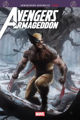 AVENGERS ARMAGEDDON #2 Adi Granov Variant
