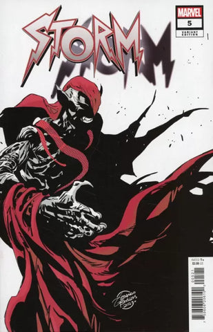 STORM #5 Geraldo Borges Variant