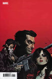 MARVEL KNIGHTS: PUNISHER #1 Panosian Variant